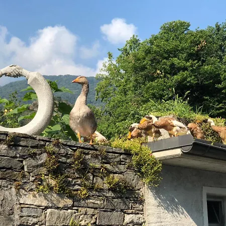 欧特洛与黎博索露营旅舍 营地